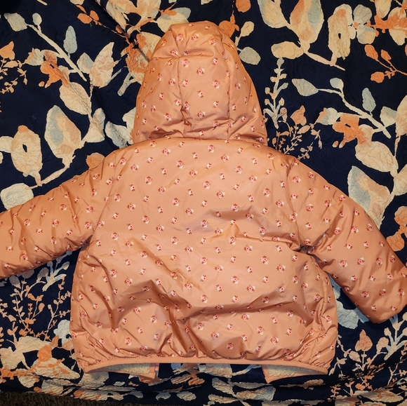 Gap baby jacket, 18-24 months - Picture 2 of 2